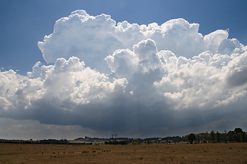 Early convection was very crisp