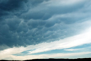 Anvil mammatus