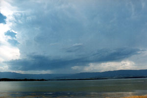 A weak cell over the Illawarra escarpment