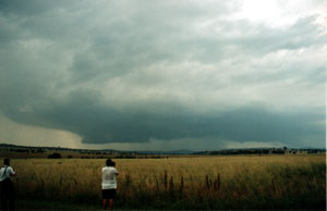 A well organised storm with lowerings to the right of the precip shafts