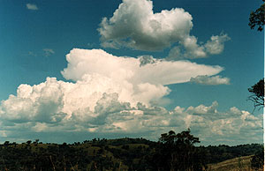 A textbook anvil, but a very weak storm.