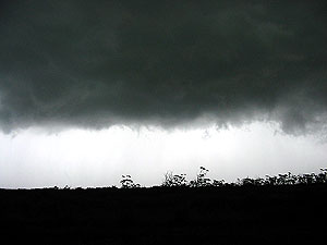 A developing gust front