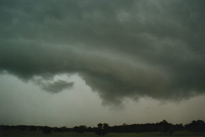 A gust front develops