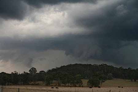 Near Canyonleigh, just west of Moss Vale