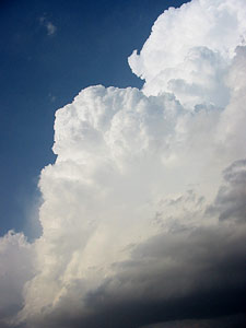 Another view of the healthy updraft