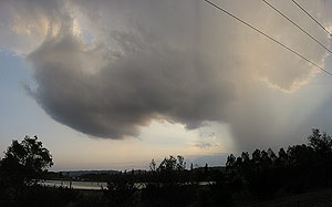The rapidly dying cell near Bungendore