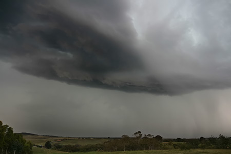 Near Tarogo, NSW