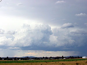 Crisp updrafts near Singleton