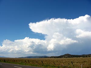 Near Tamworth