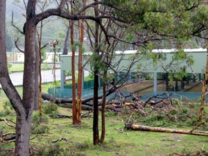Storm damage at Port Stephens