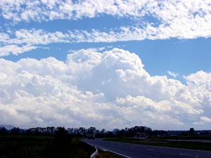 Congestus near Murwillumbah