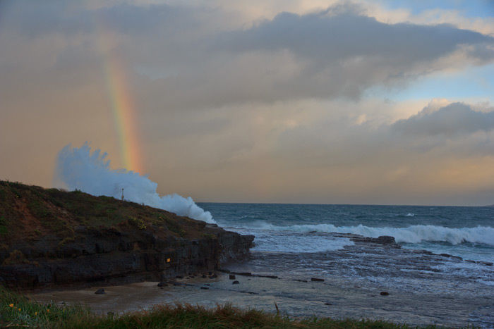 Shellharbour