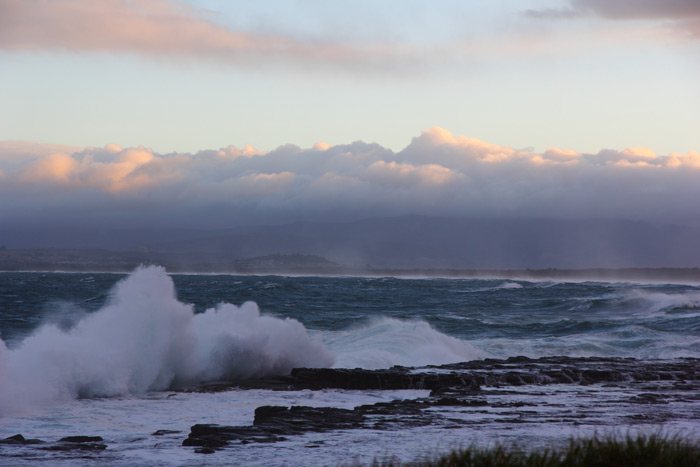 Shellharbour