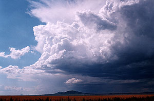 Weak storms featured on day one.