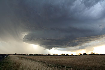 Supercell near West Wyalong, NSW