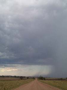 This dirt road was eventually closed by flash flooding from this storm.