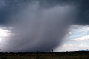 Outflow from a nearby storm cuts into a rain shaft.