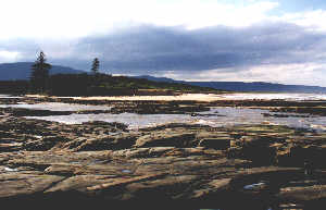 Fairy Creek, North Wollongong.