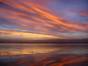 Lake Illawarra