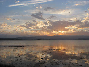 Lake Illawarra